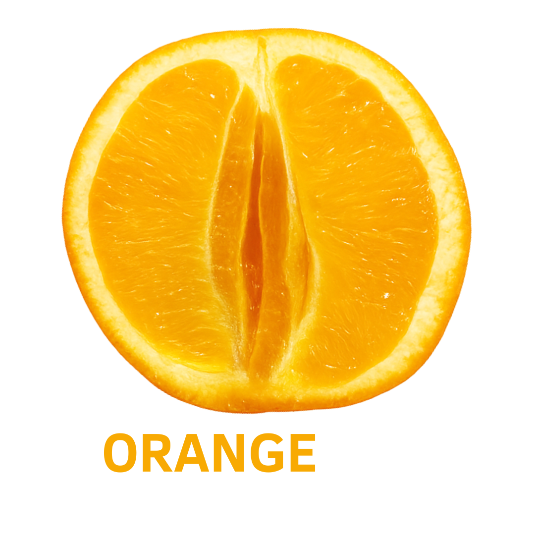 OrangePay MSK Wealth Logo